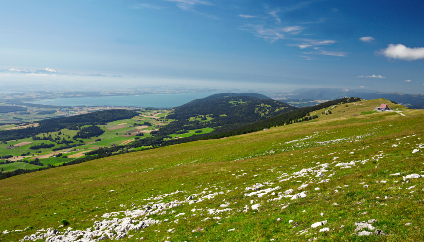 Chalets dans le Jura : et si vous passiez vos vacances sur une exploitation agricole ?